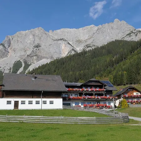 B&B Feichtlehnerhof 3*